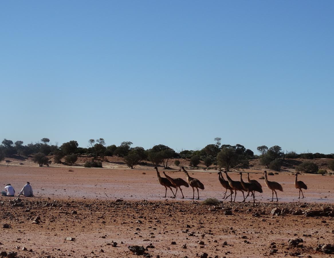 Vila Dinky Di'S Dugout Coober Pedy Exteriér fotografie